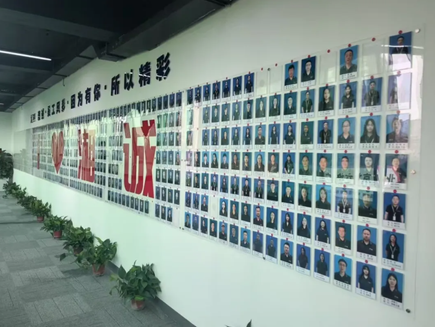心声为引，共赴成长之约——湘诚物流集团岳阳培训纪实
